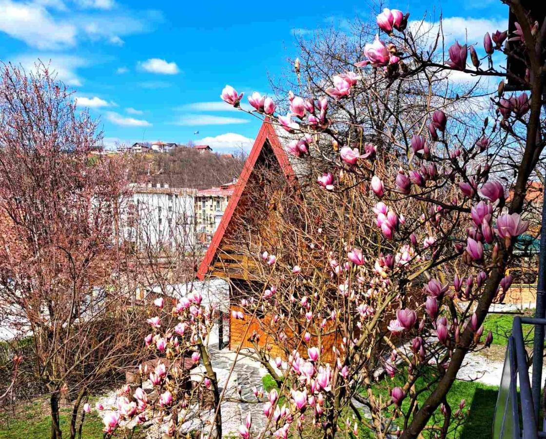 Sarajevo Semesterbostad Hadžići